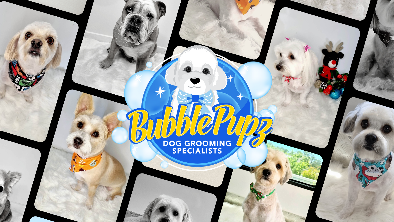 Bubble hot sale pet grooming